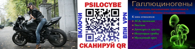 Псилоцибиновые грибы мицелий  mega tor  Дятьково 